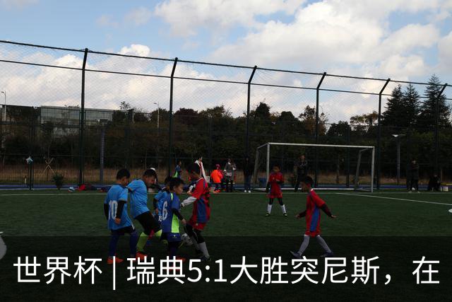 世界杯 | 瑞典5:1大胜突尼斯，在“死亡之组”占先机