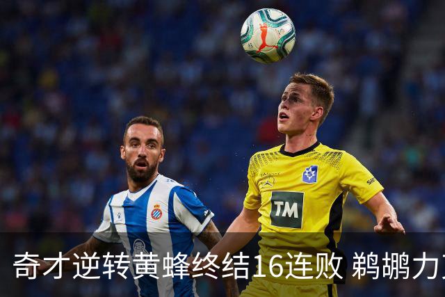 奇才逆转黄蜂终结16连败 鹈鹕力克76人3连胜