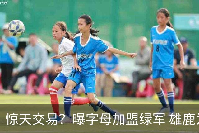 惊天交易？曝字母加盟绿军 雄鹿为布朗寻找第三方